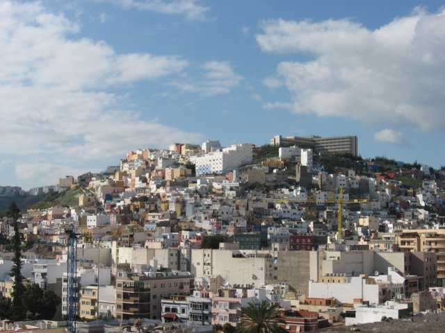 photo62.jpg